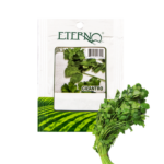 CILANTROo